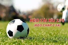 Tài xỉu 2.75 bóng đá